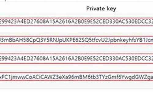 比特币私钥转码步骤详解，轻松学会使用技巧(比特币私钥生成器软件)