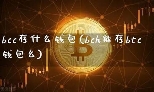 bcc转入btc钱包(btc钱包转账有手续费)