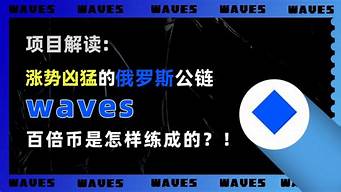 WAVES币的社区建设和生态系统发展情况(waves 币)(图1)