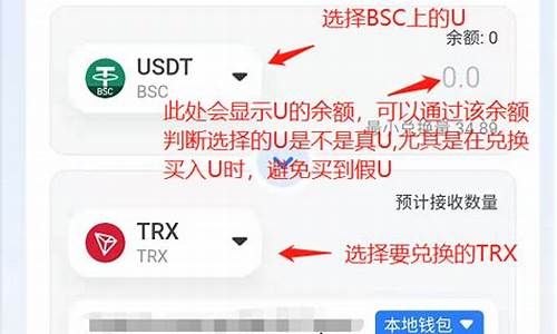 选择BSC兑换钱包，安全高效的数字货币兑换体验(图1)